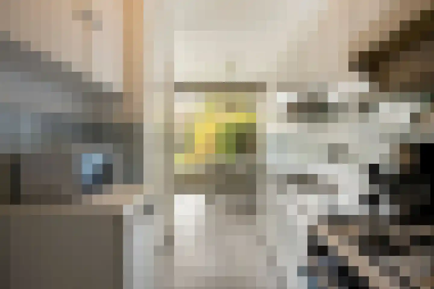 't Dorp 38 Heesch thumbnail 15