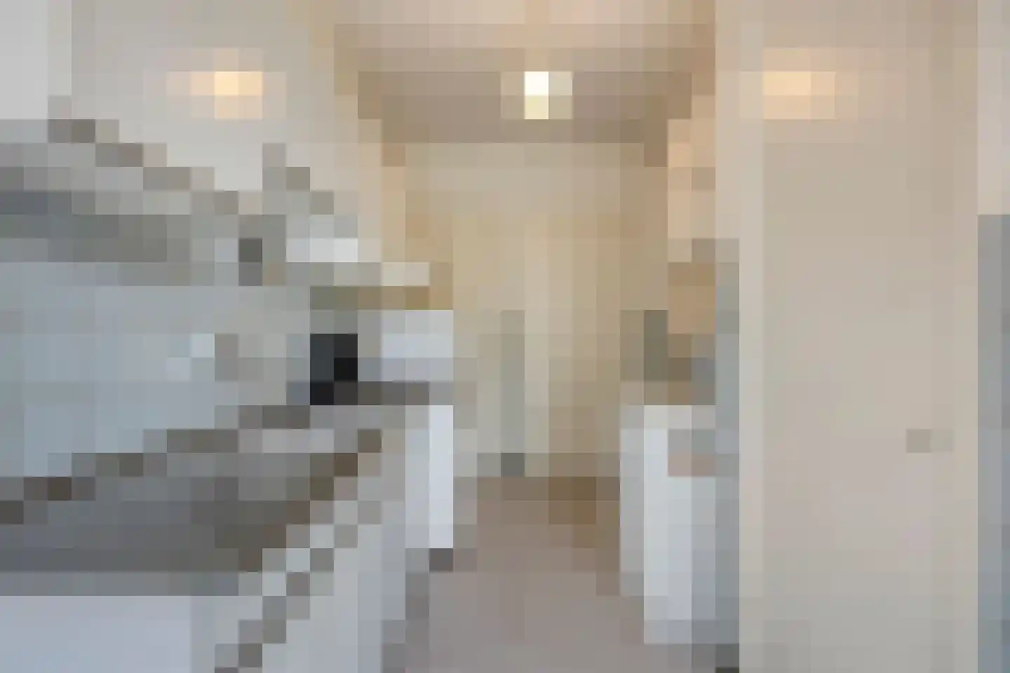 't Dorp 38 Heesch thumbnail 16