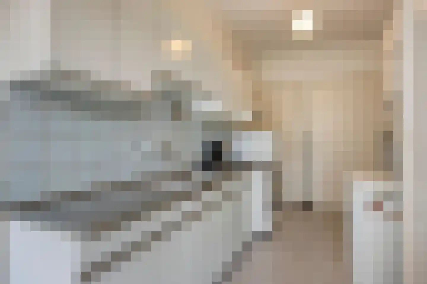 't Dorp 38 Heesch thumbnail 17