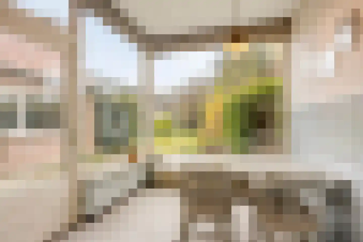 't Dorp 38 Heesch thumbnail 19