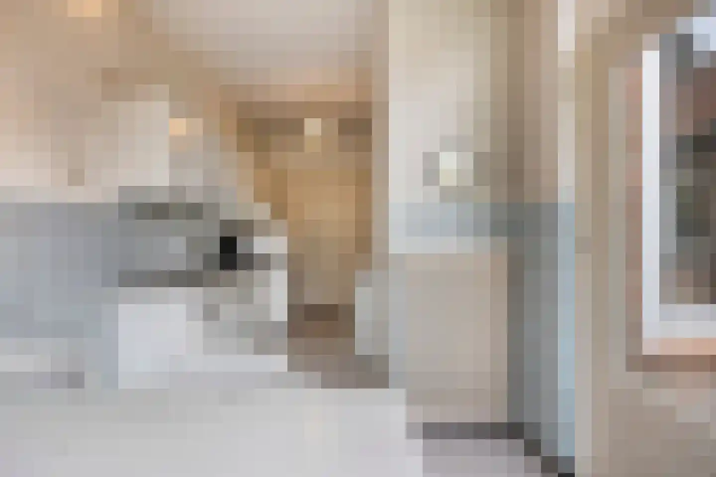 't Dorp 38 Heesch thumbnail 20