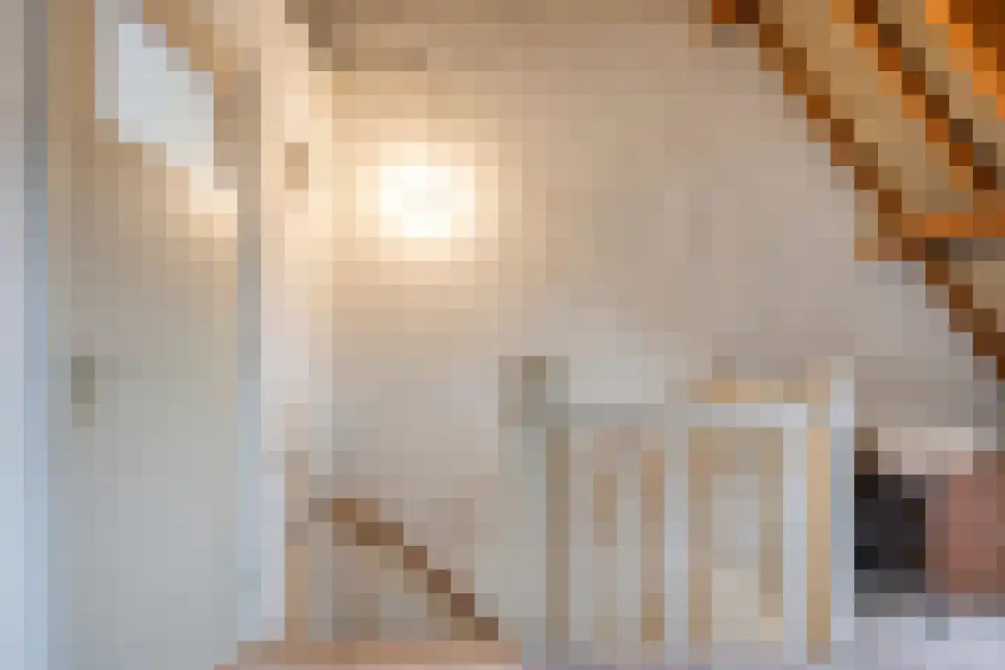 't Dorp 38 Heesch thumbnail 36