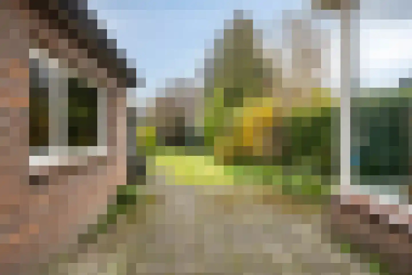't Dorp 38 Heesch thumbnail 42
