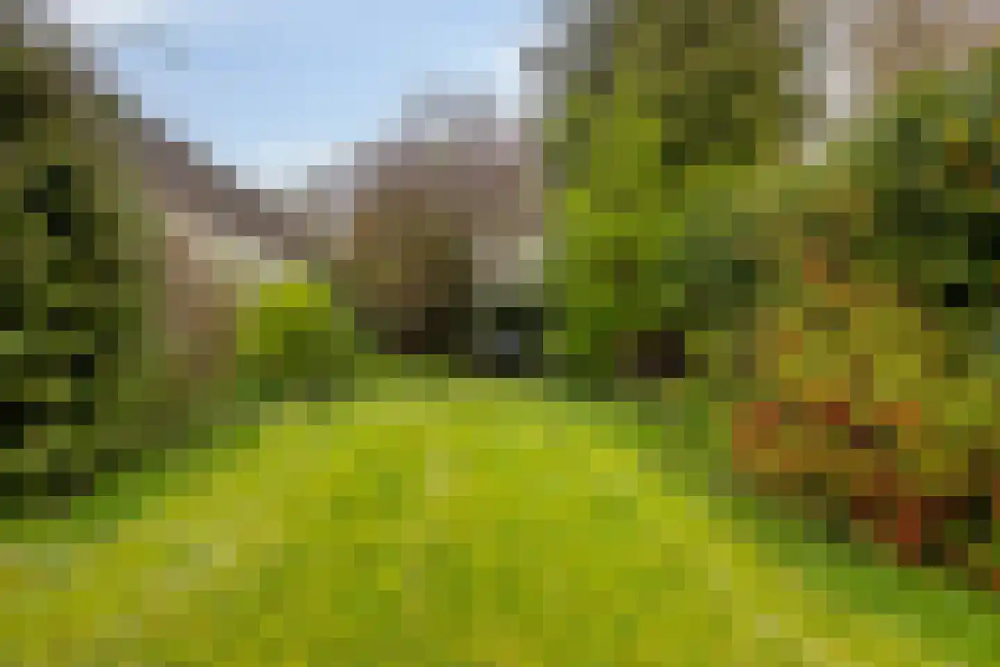 't Dorp 38 Heesch thumbnail 43