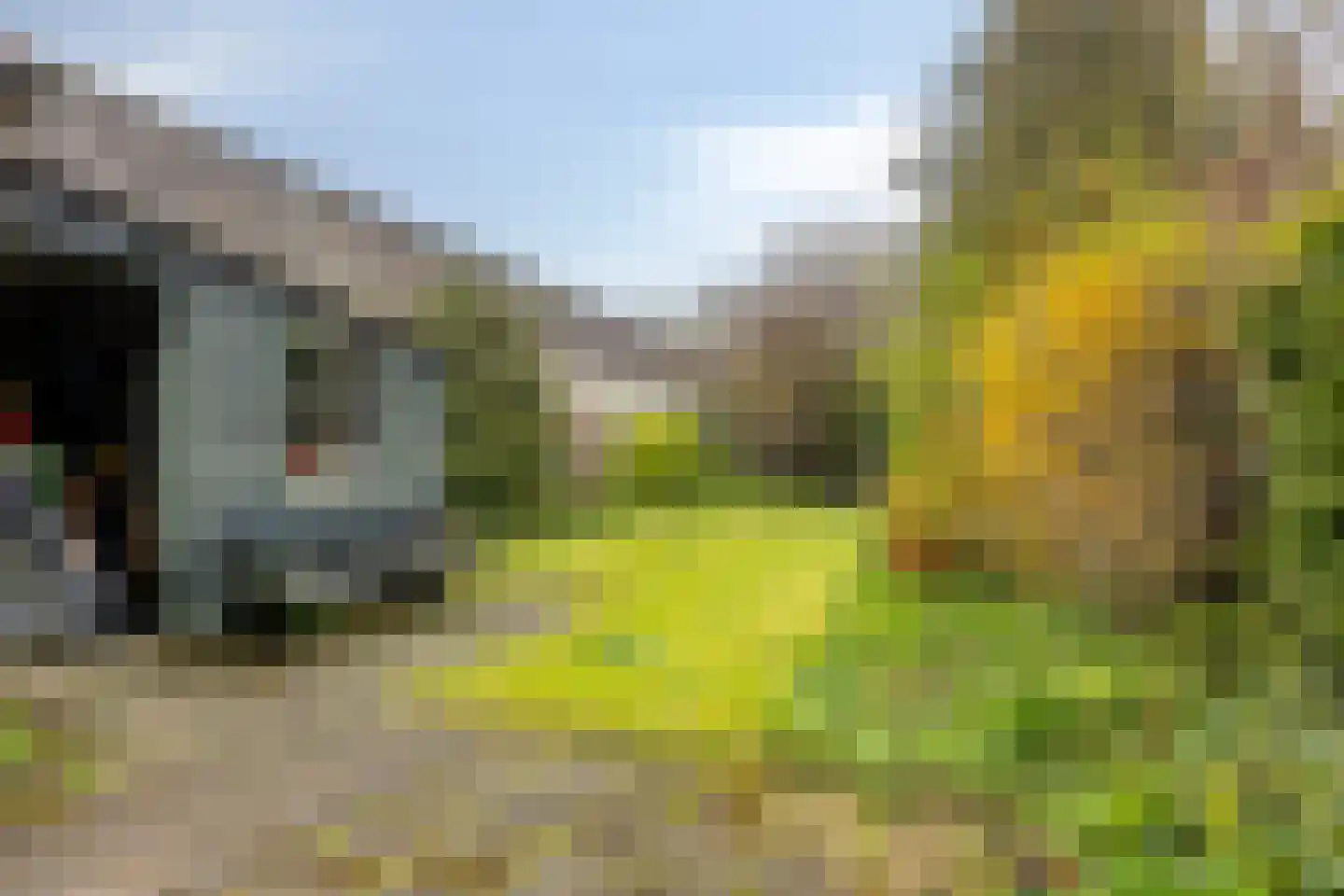 't Dorp 38 Heesch thumbnail 44
