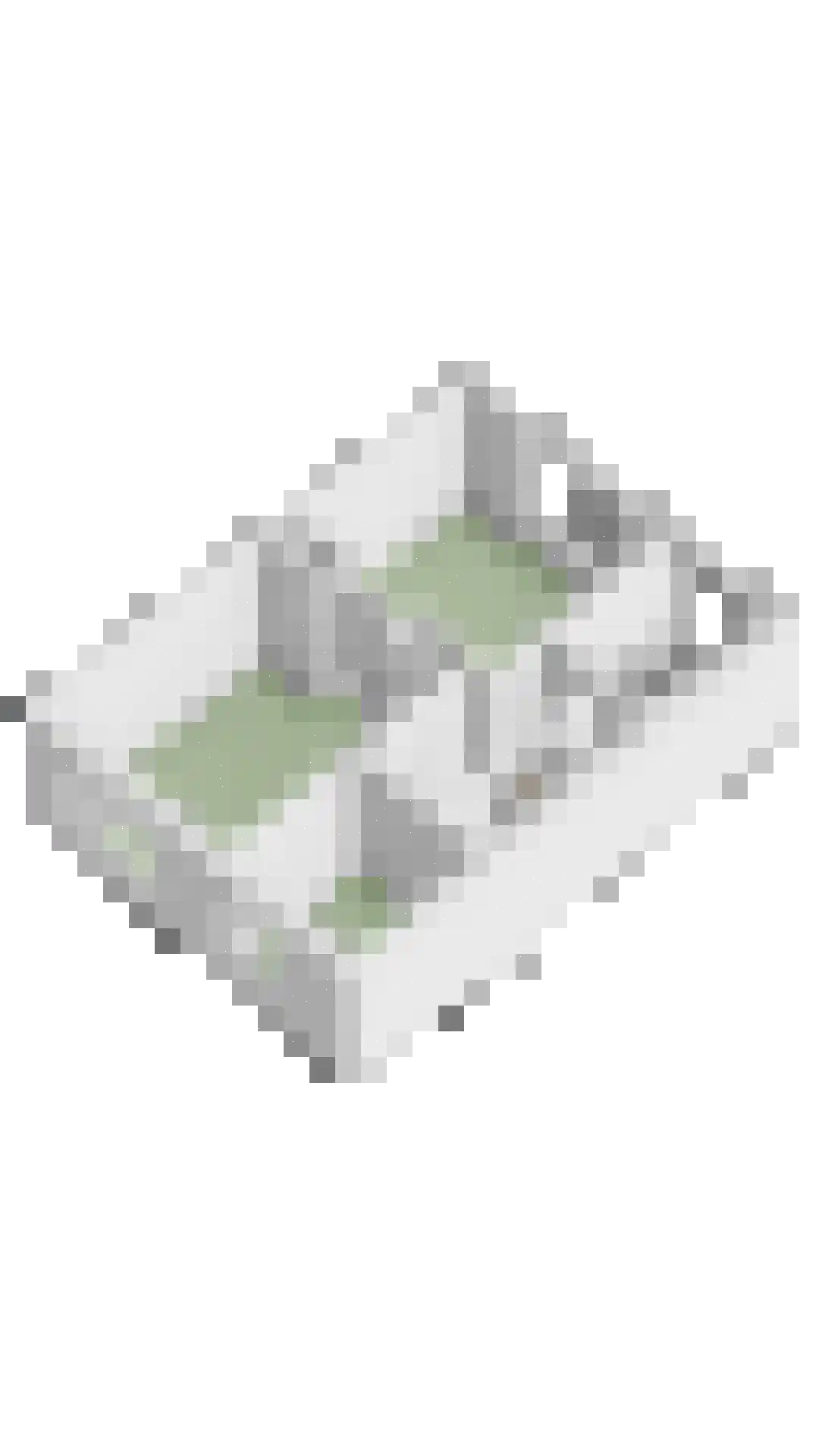 't Dorp 38 Heesch thumbnail 60