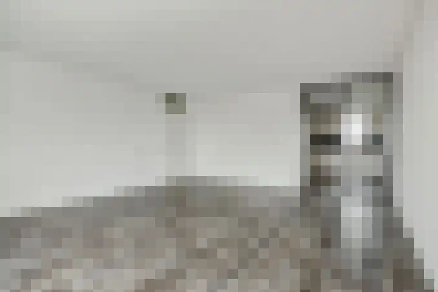 't Dorp 81 a Heesch thumbnail 4