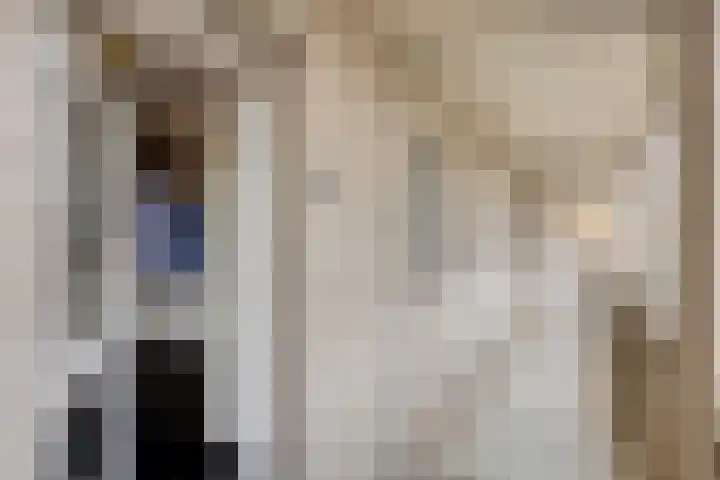 't Dorp 81 Heesch thumbnail 10