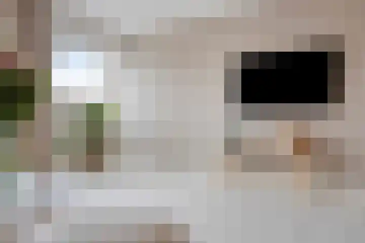 't Dorp 81 Heesch thumbnail 15