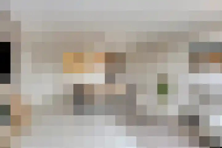 't Dorp 81 Heesch thumbnail 16
