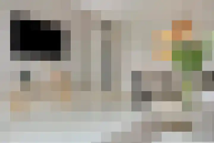 't Dorp 81 Heesch thumbnail 17