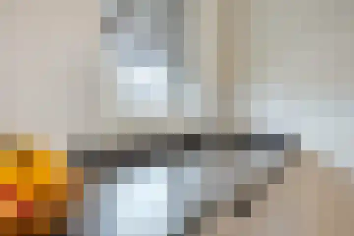 't Dorp 81 Heesch thumbnail 22