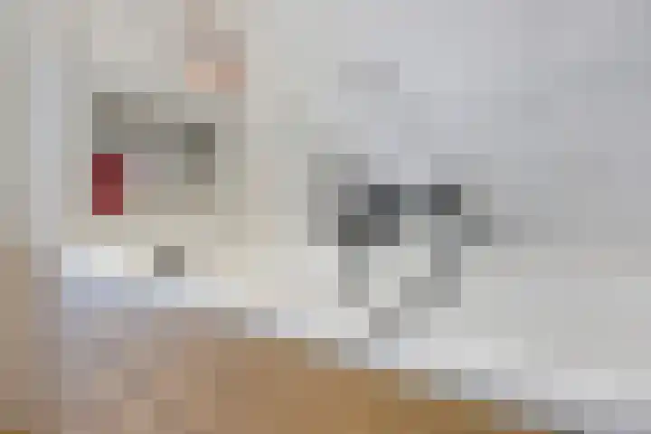 't Dorp 81 Heesch thumbnail 29
