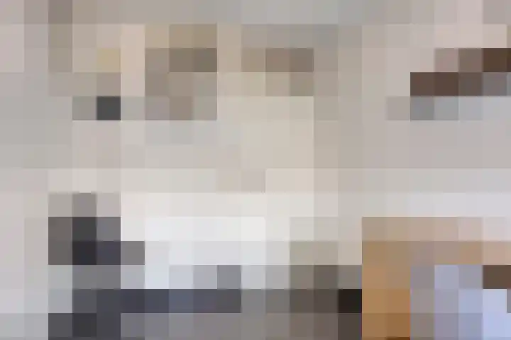't Dorp 81 Heesch thumbnail 31
