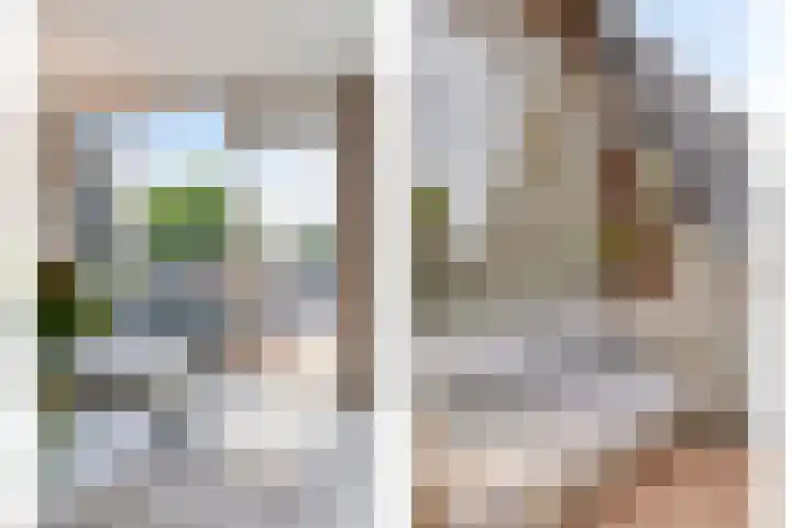 't Dorp 81 Heesch thumbnail 32