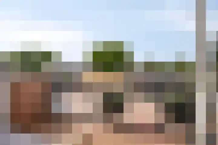 't Dorp 81 Heesch thumbnail 33