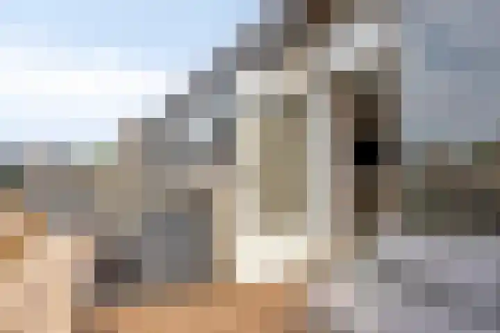 't Dorp 81 Heesch thumbnail 34