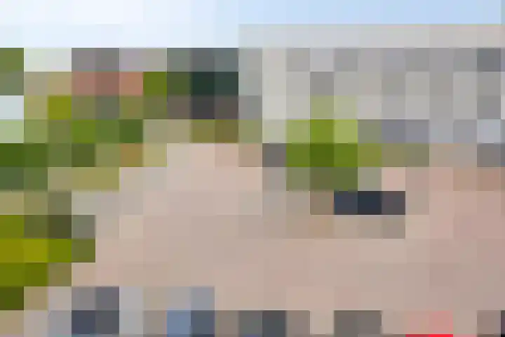 't Dorp 81 Heesch thumbnail 36