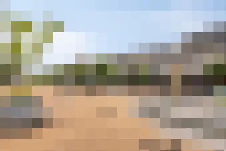 't Dorp 81 Heesch thumbnail 37