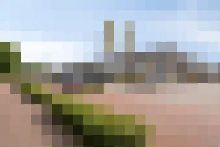 't Dorp 81 Heesch thumbnail 40