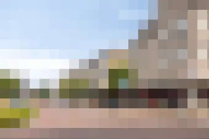 't Dorp 81 Heesch thumbnail 41