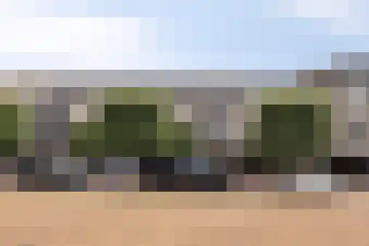 't Dorp 81 Heesch thumbnail 6
