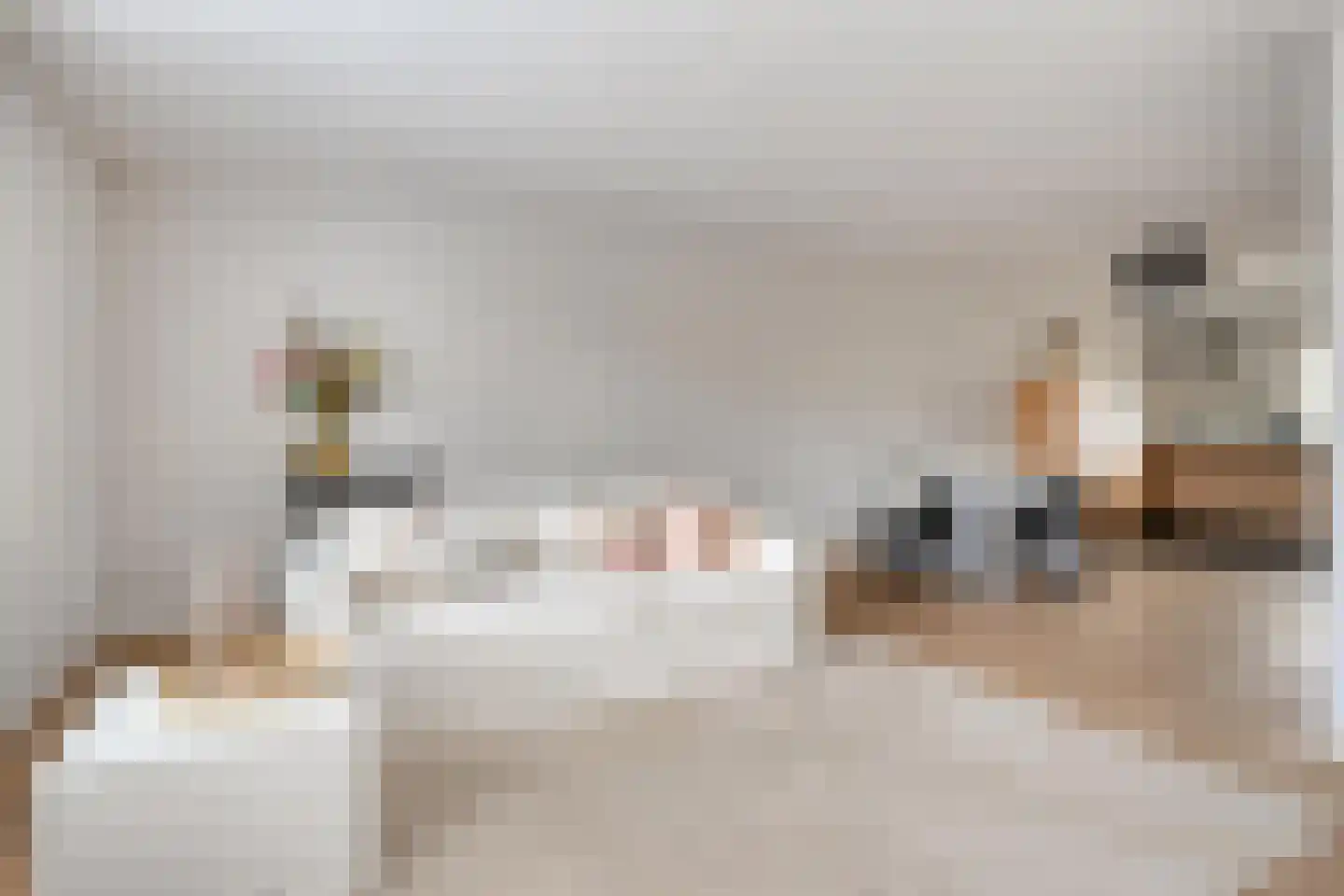 't Dorp 84 Heesch thumbnail 11