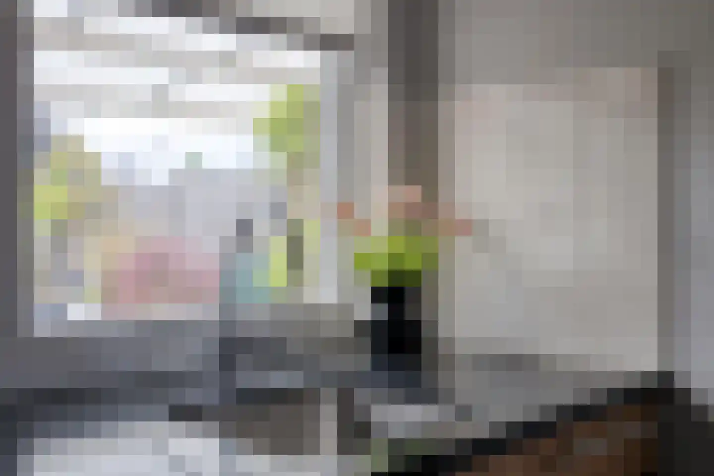 't Dorp 84 Heesch thumbnail 15