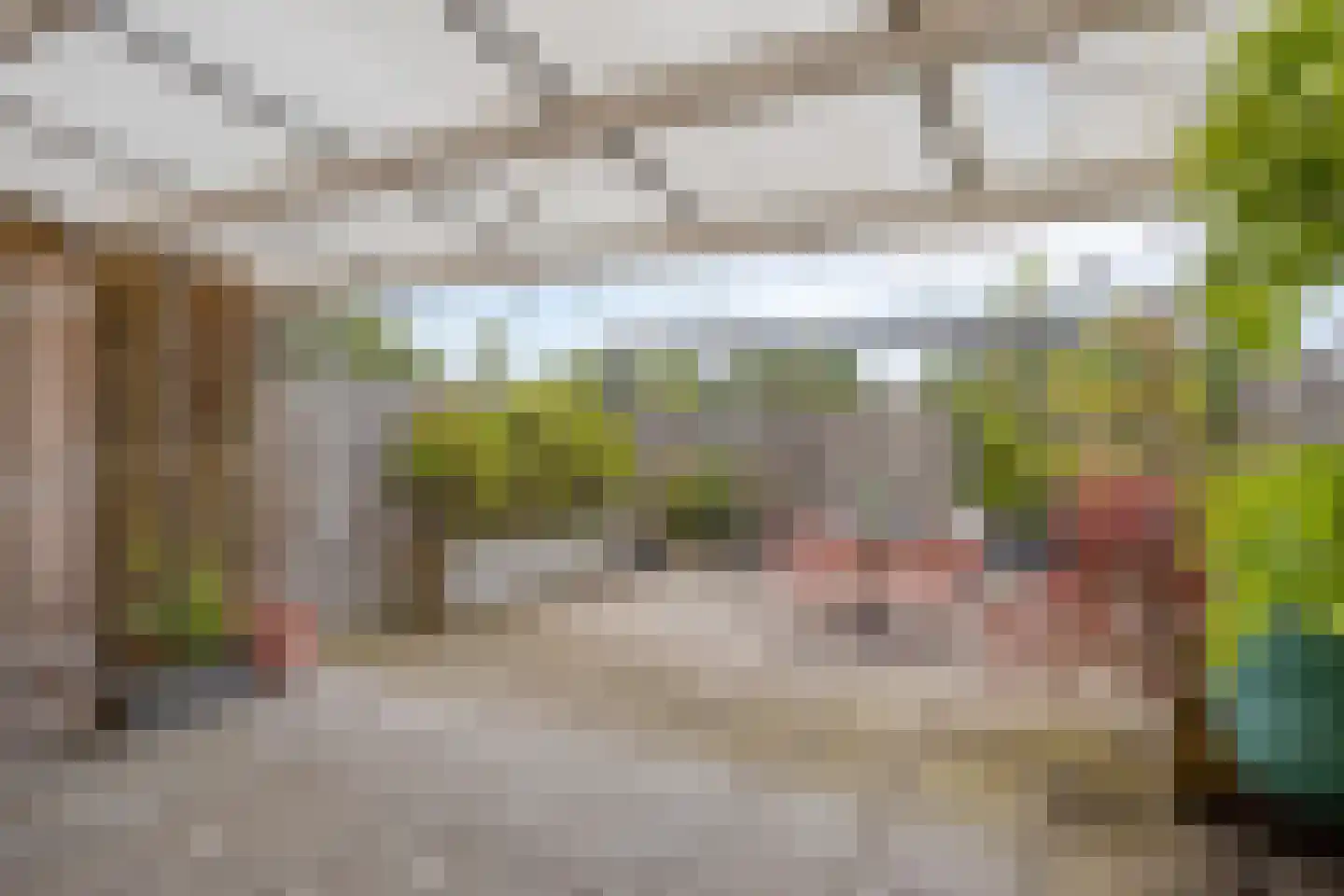 't Dorp 84 Heesch thumbnail 20