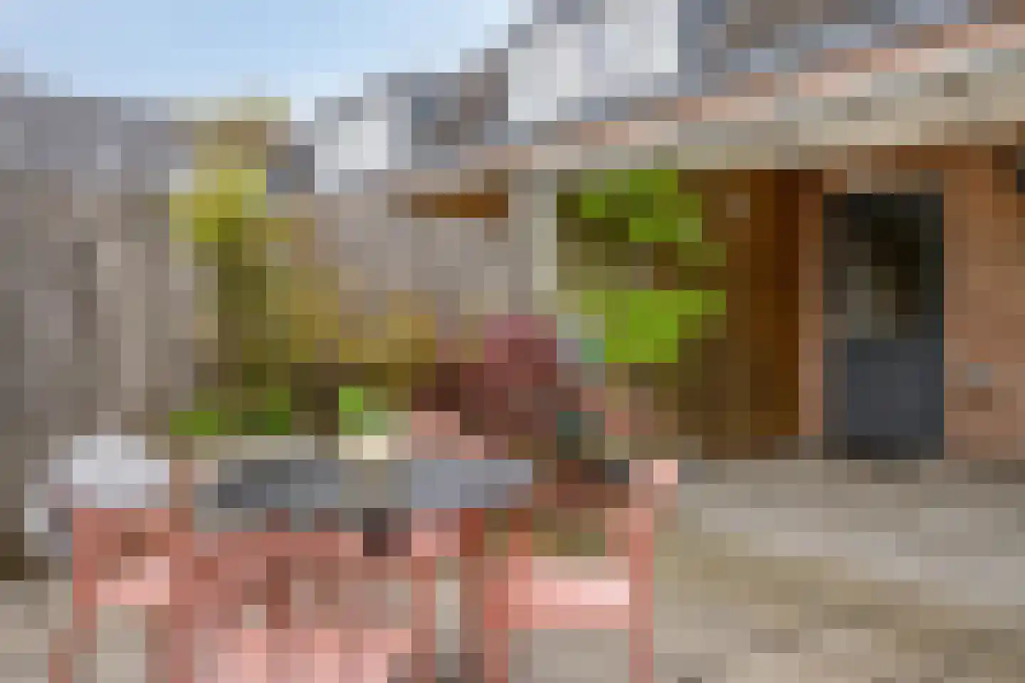't Dorp 84 Heesch thumbnail 22