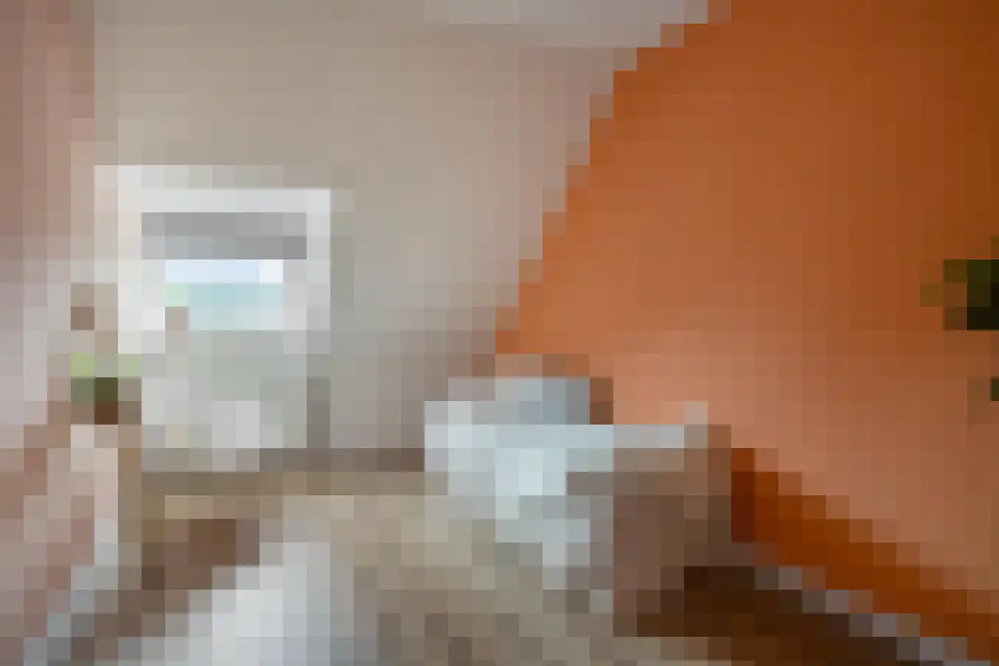 't Dorp 84 Heesch thumbnail 28