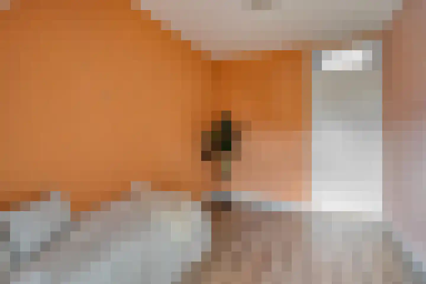 't Dorp 84 Heesch thumbnail 29