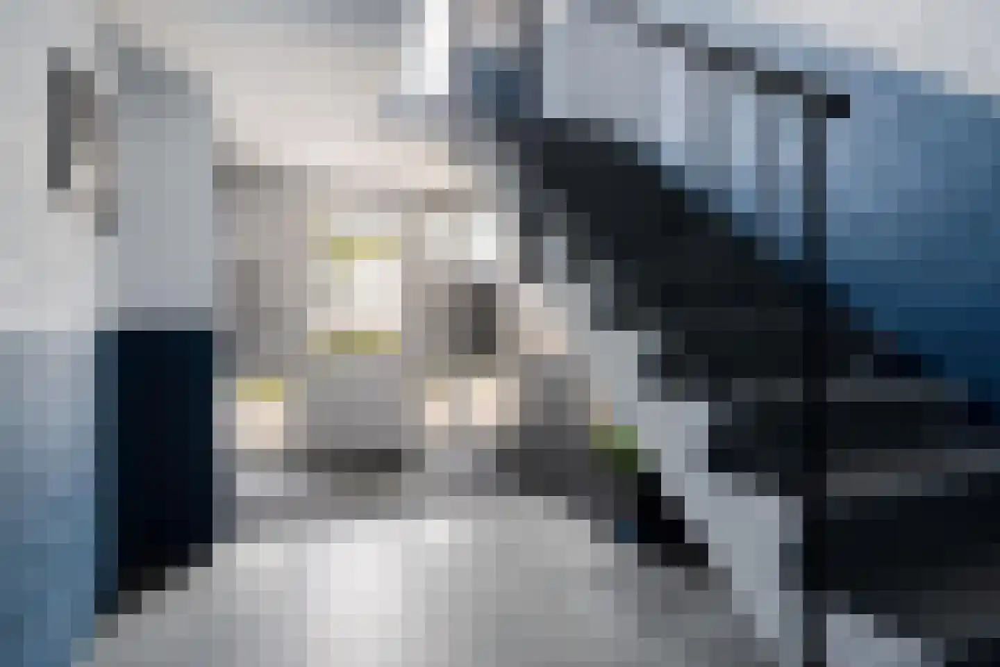 't Dorp 84 Heesch thumbnail 32