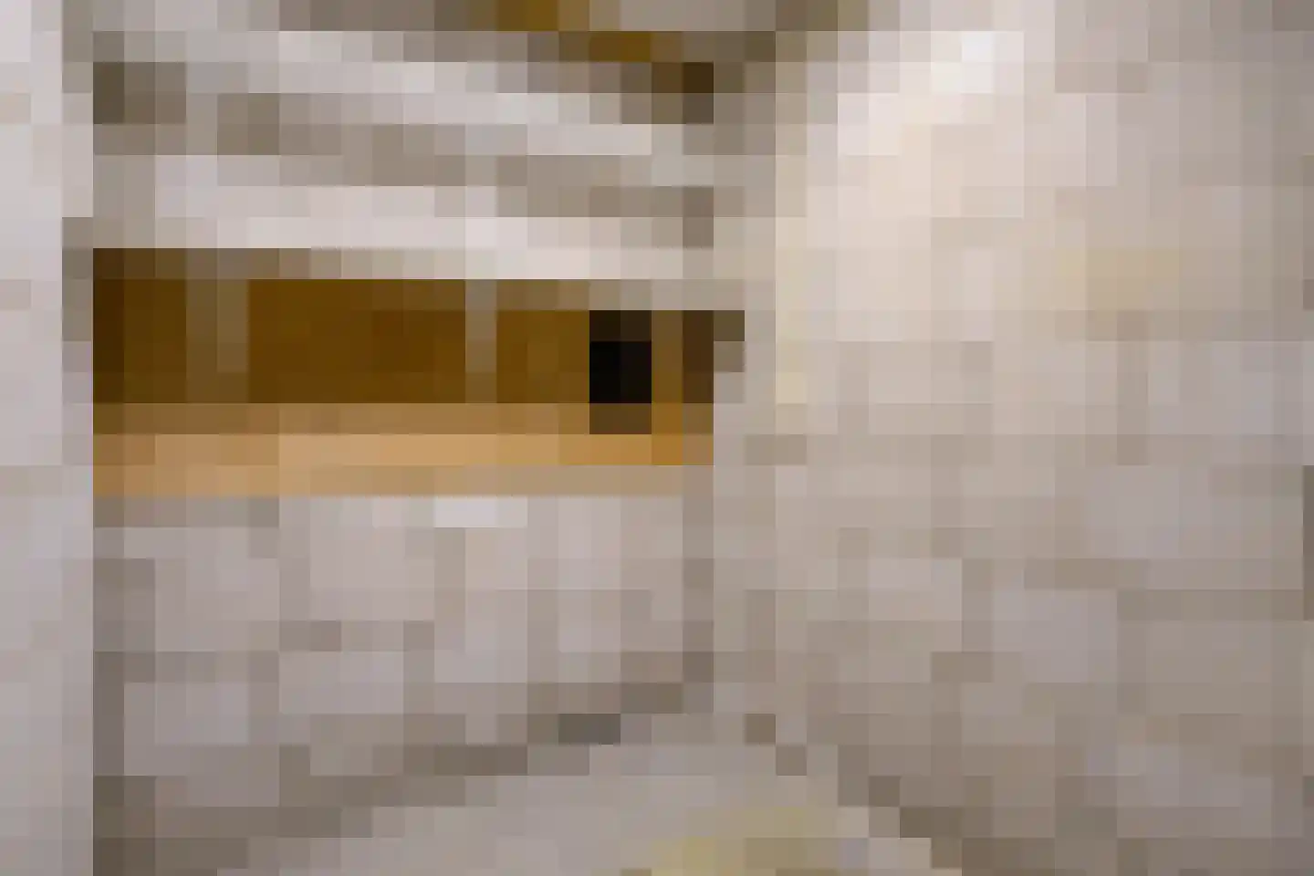 't Dorp 84 Heesch thumbnail 37