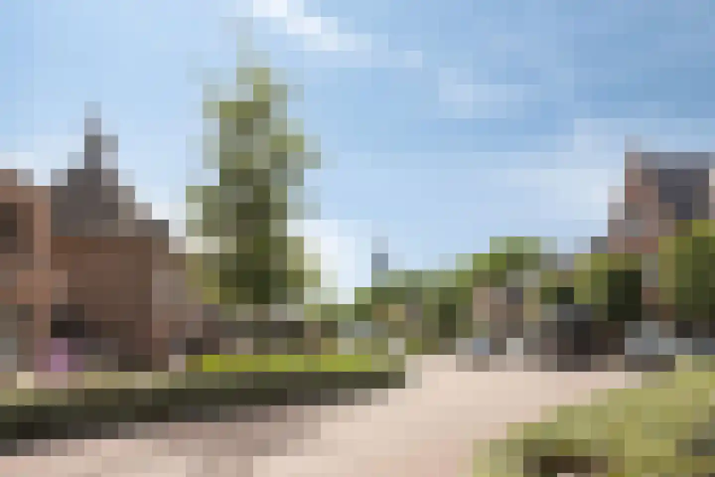 't Dorp 84 Heesch thumbnail 43