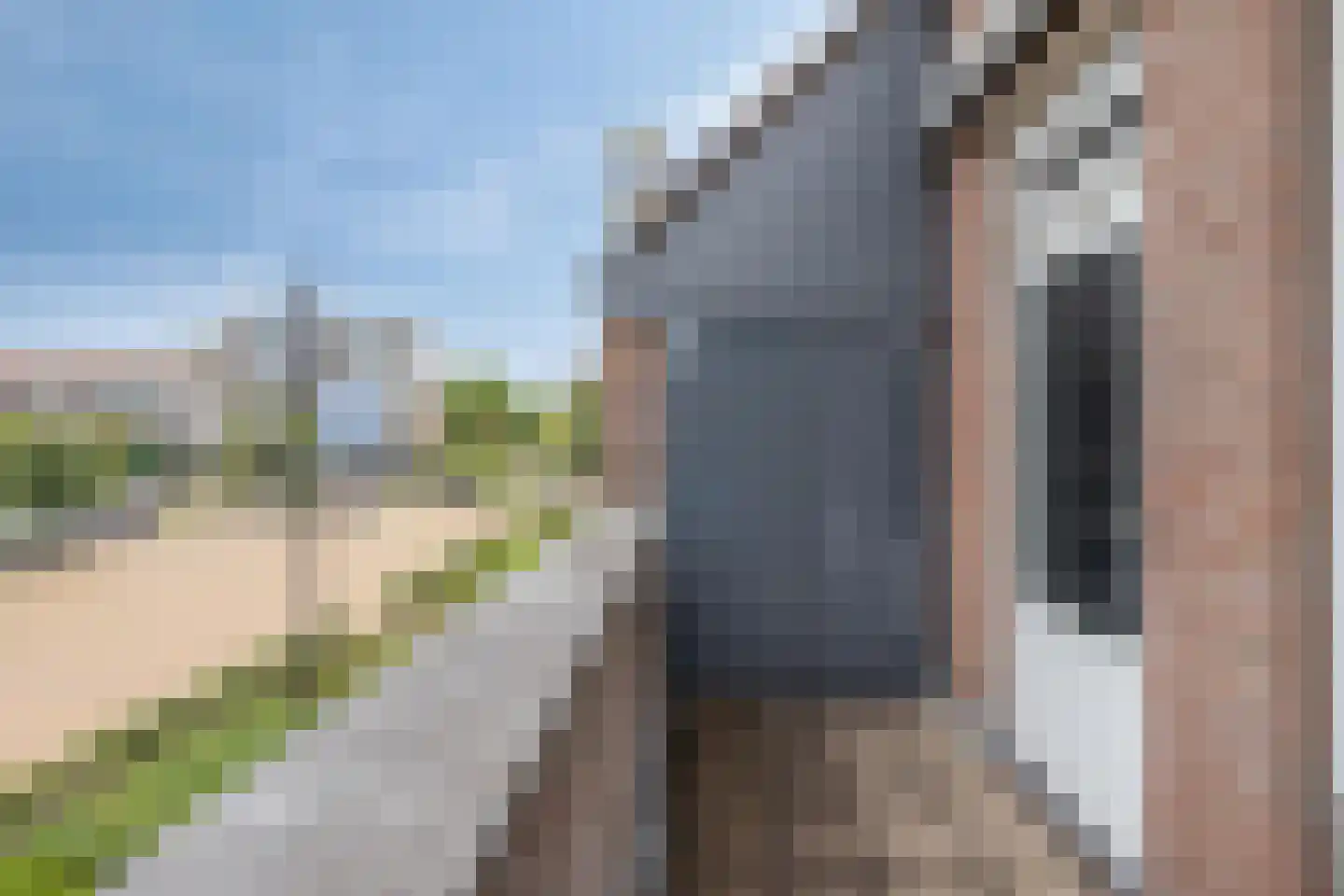 't Dorp 84 Heesch thumbnail 8