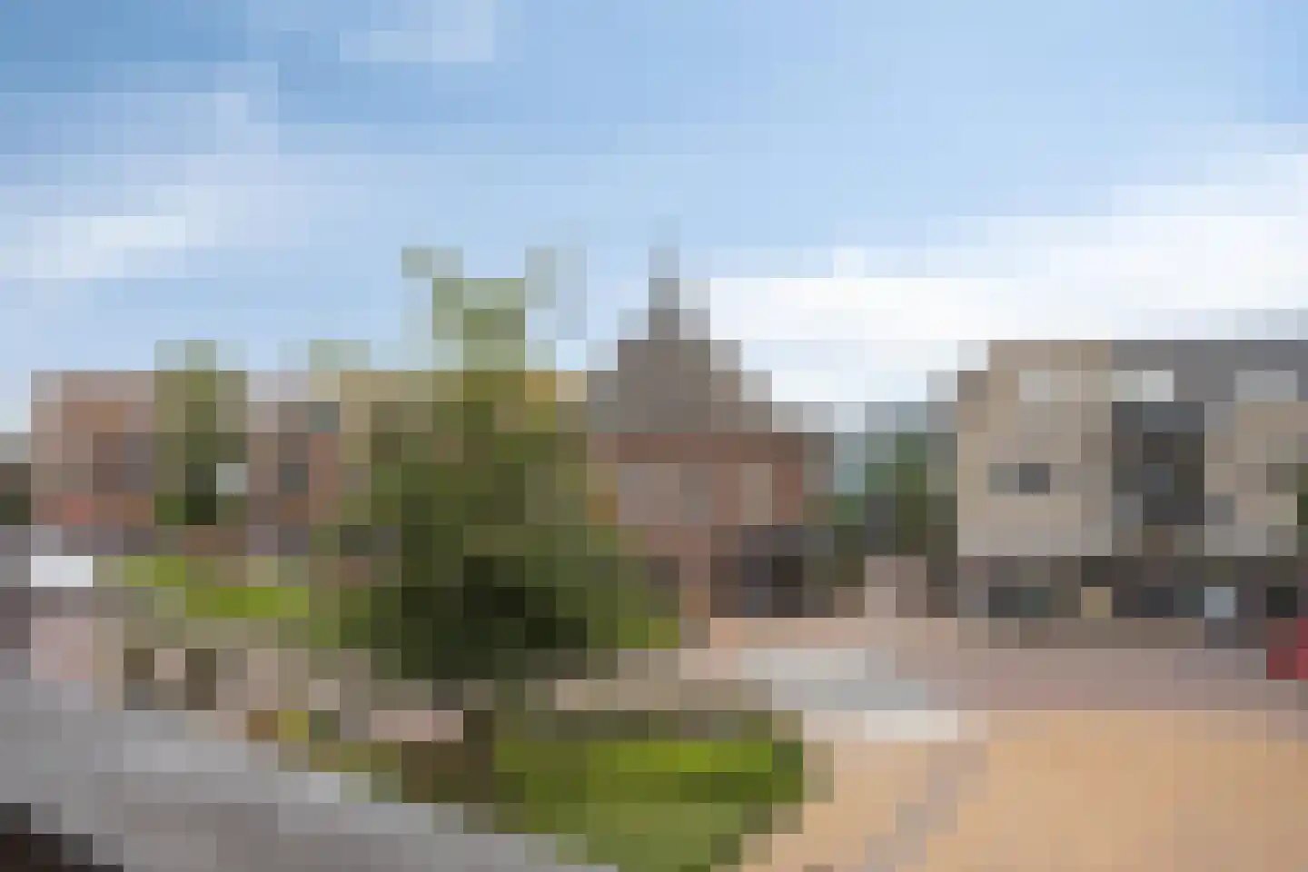 't Dorp 84 Heesch thumbnail 9