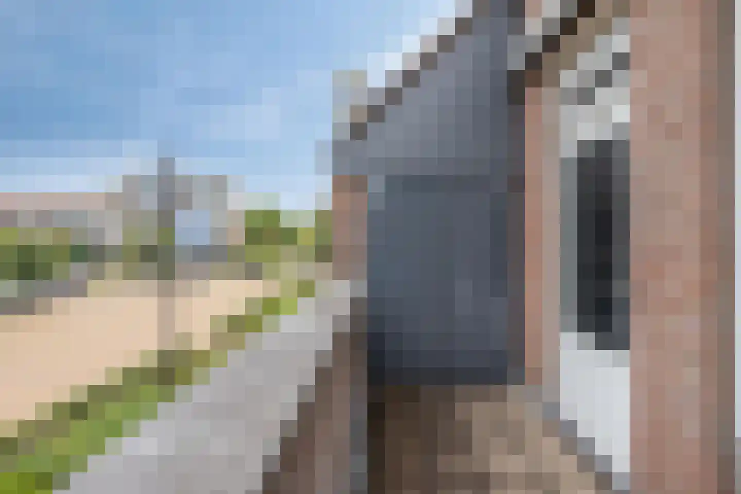 't Dorp 84 Heesch thumbnail 9