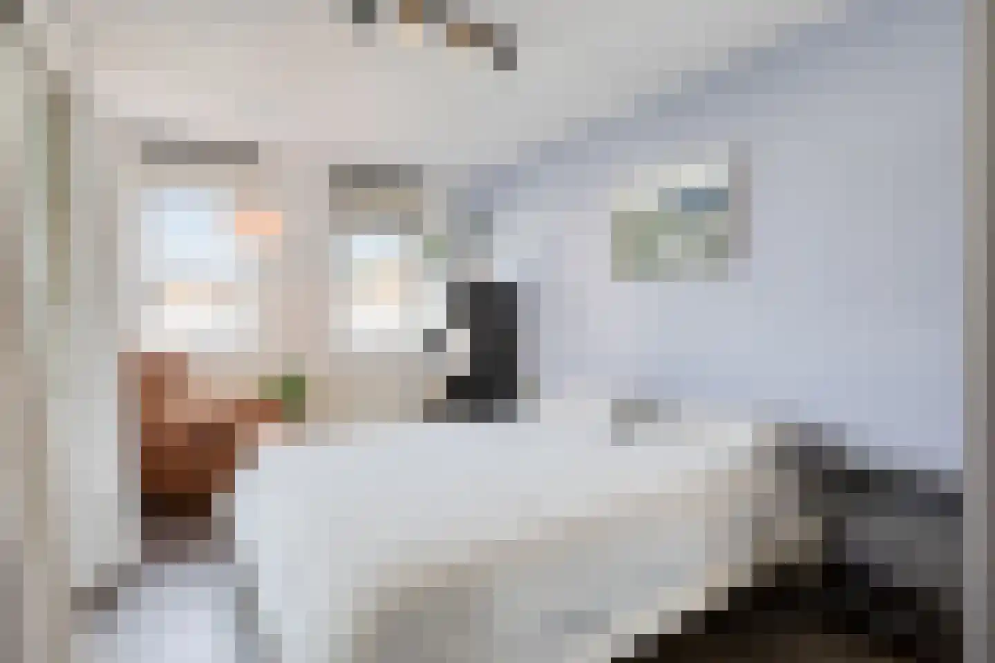 't Dorp 89 Heesch thumbnail 11