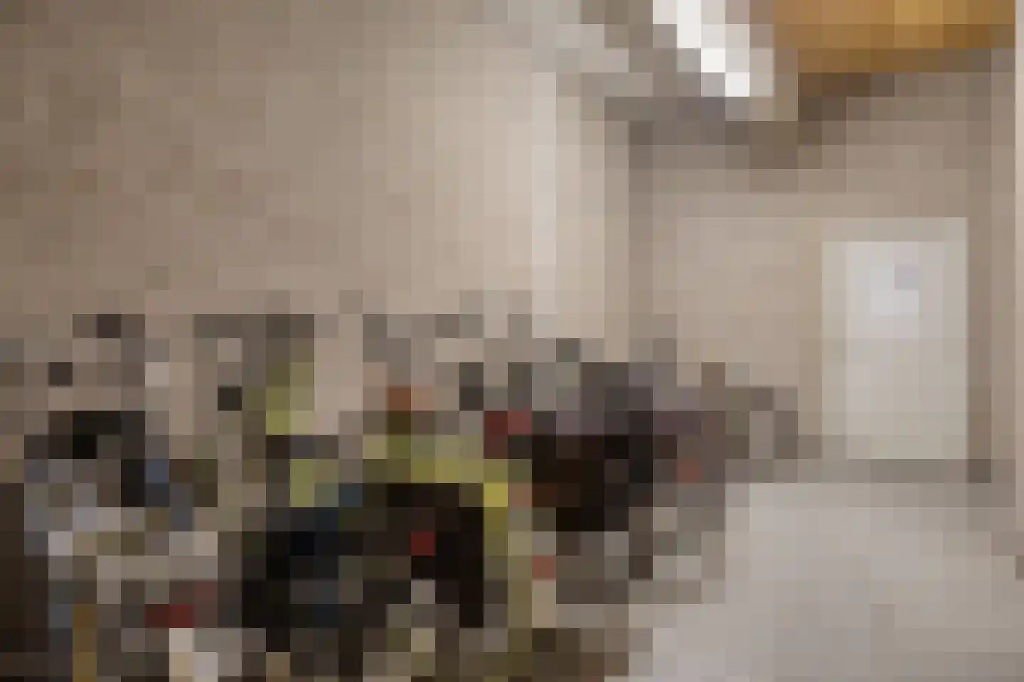 't Dorp 89 Heesch thumbnail 38