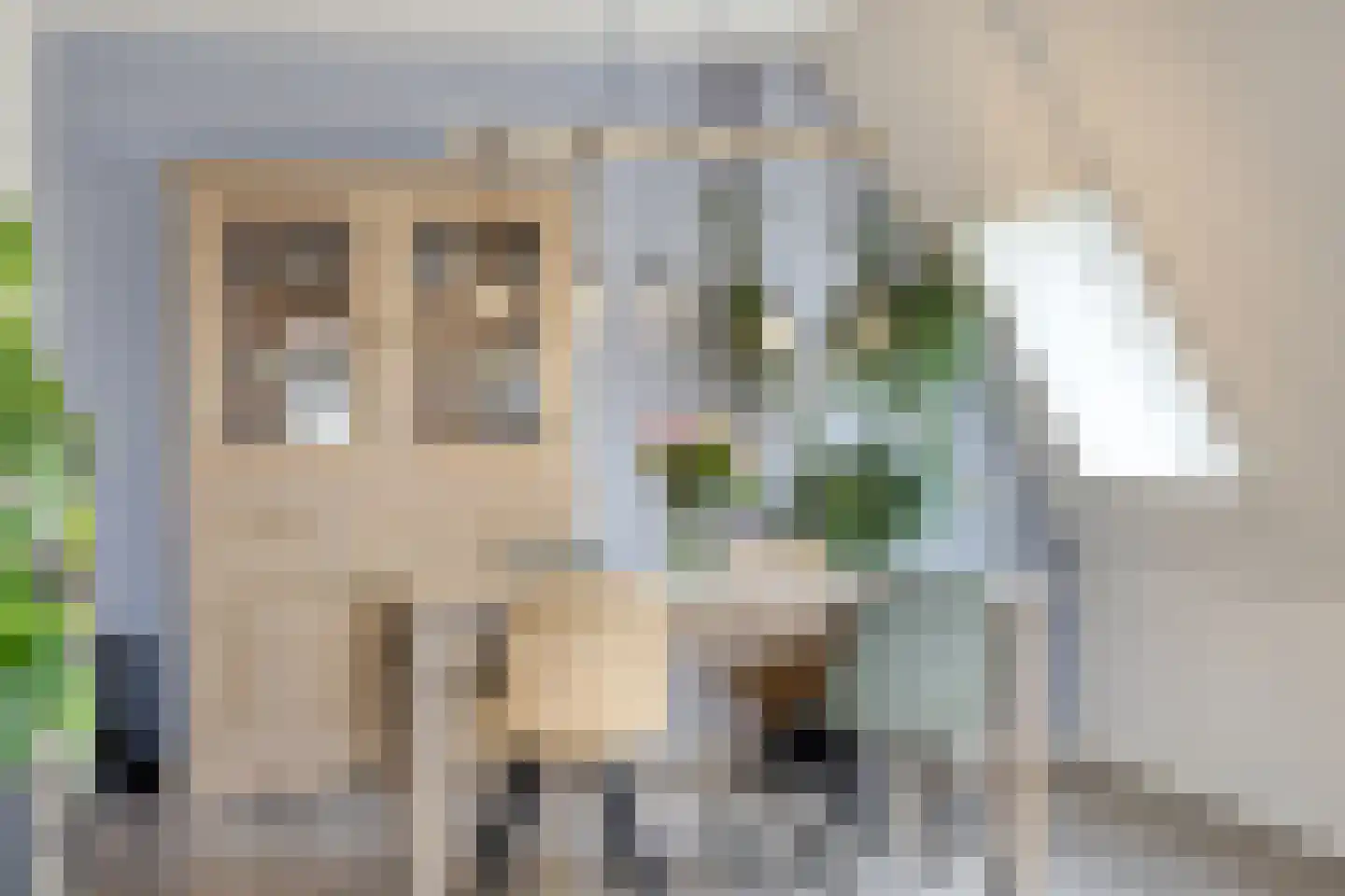 't Dorp 89 Heesch thumbnail 4
