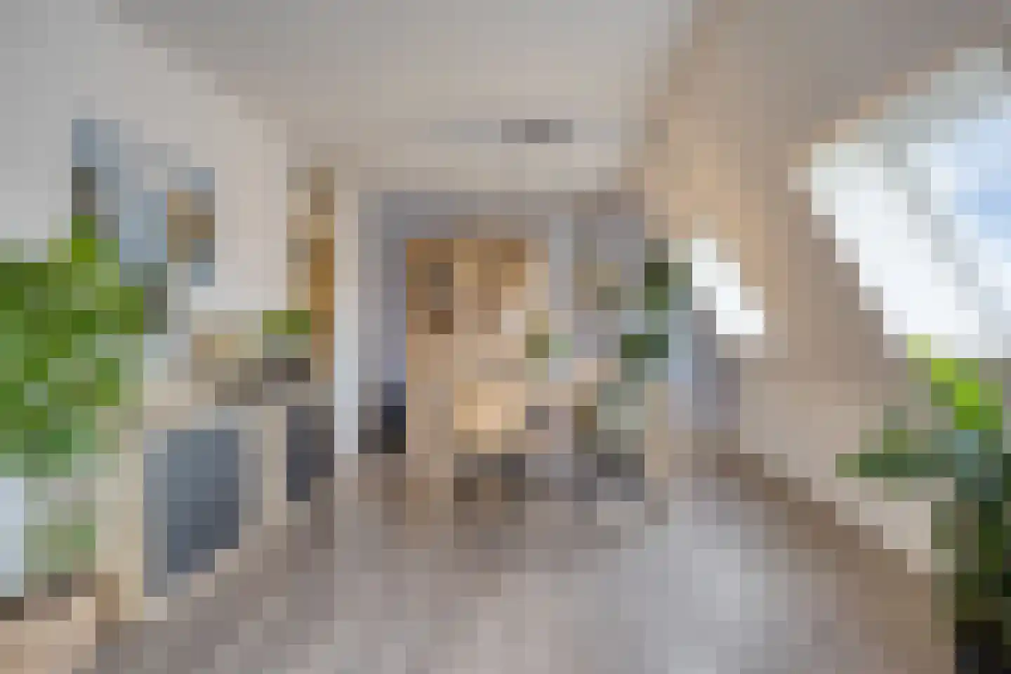 't Dorp 89 Heesch thumbnail 5