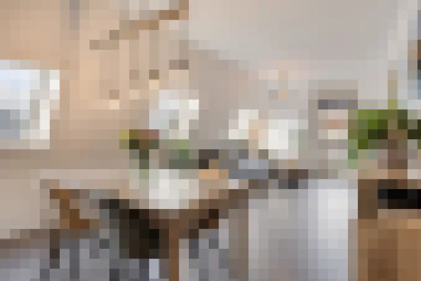 't Dorp 89 Heesch thumbnail 7