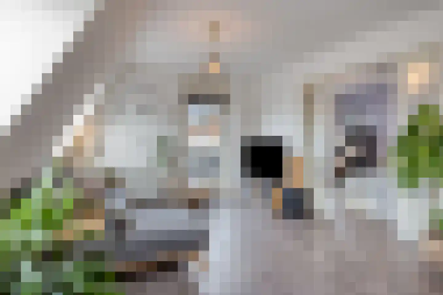 't Dorp 89 Heesch thumbnail 9