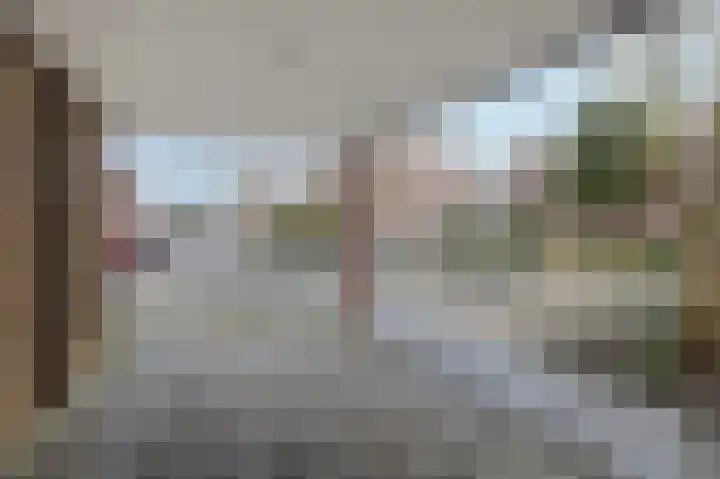 't Eeland 2 Westervoort thumbnail 7