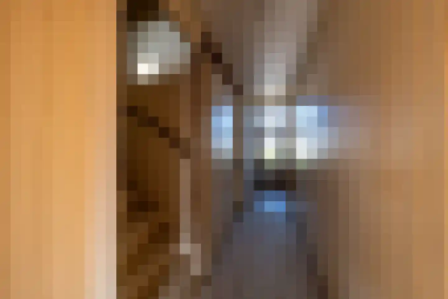't Ei 5 a Lochem thumbnail 11