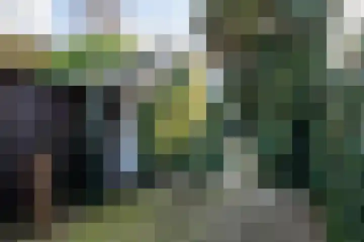 't Ei 5 a Lochem thumbnail 21
