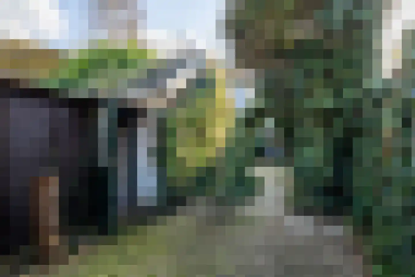 't Ei 5 a Lochem thumbnail 21