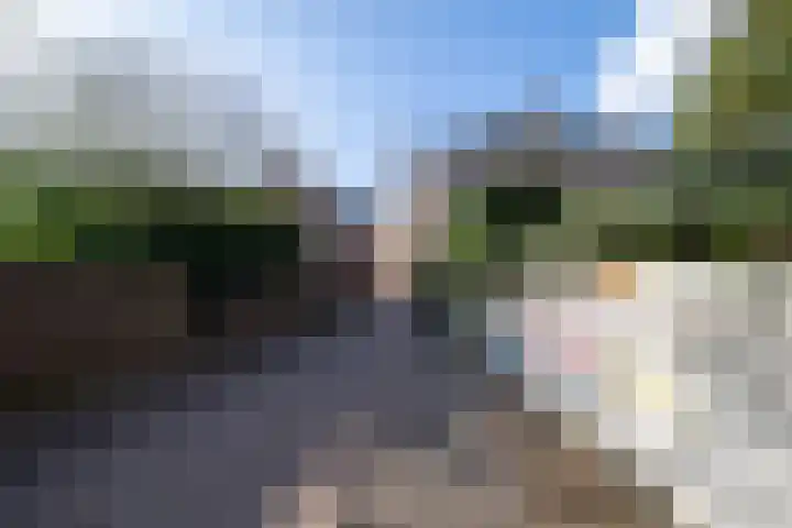 't Ei 5 a Lochem thumbnail 26