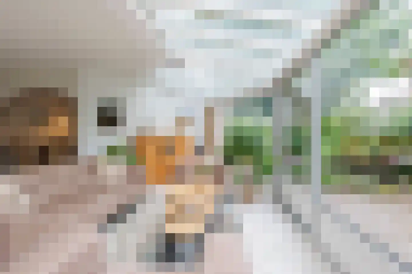 't Eiland 4 Werkendam thumbnail 16